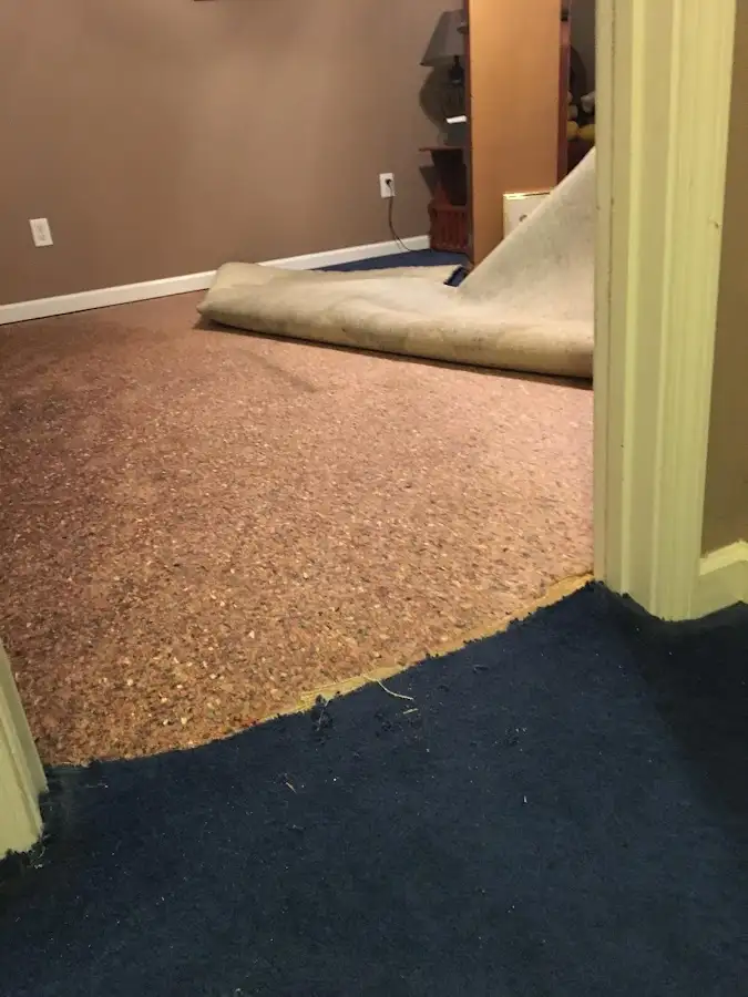Carpet pad removal revealing water damage during Water Mitigation Services in Rosemount