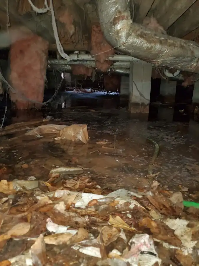 Crawl space flood assessment for Leak Detection & Repair in Rosemount