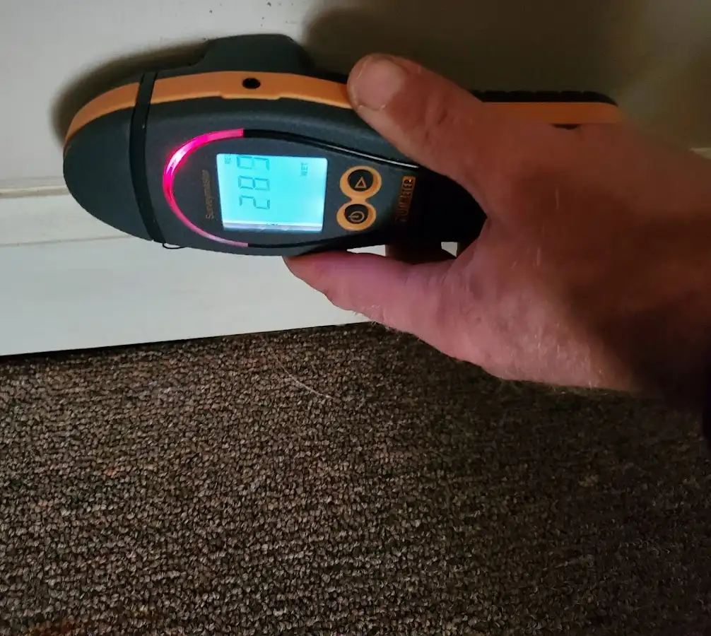 Moisture detection at baseboard during Burst Pipe Cleanup in Rosemount